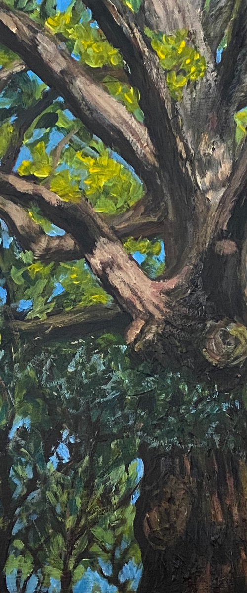 Arrandene Tree by Diana Sandetskaya