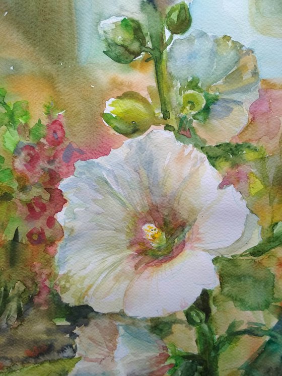 Hollyhock