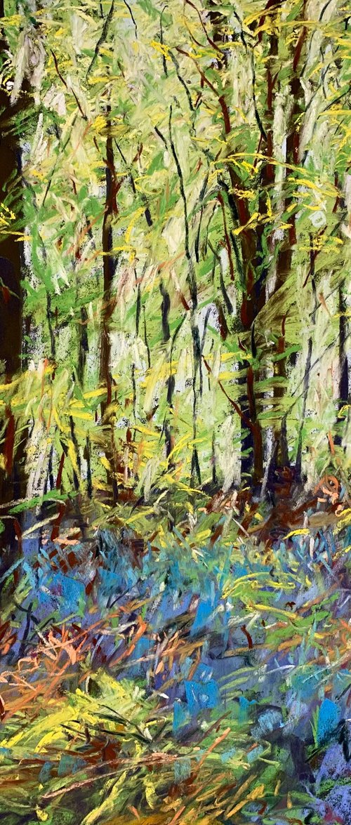 Woodland Colour by Andrew Moodie