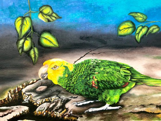 The Double Yellow-Headed Amazon Parrot