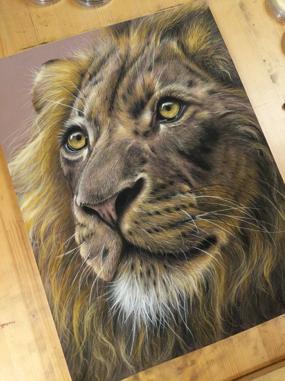 Lion Portrait (Original Painting)