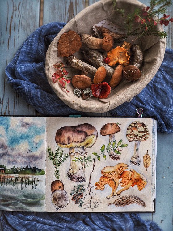 Gifts of the forest - original watercolor mushrooms collection