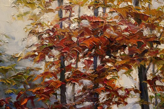 "Light Between the Trees"