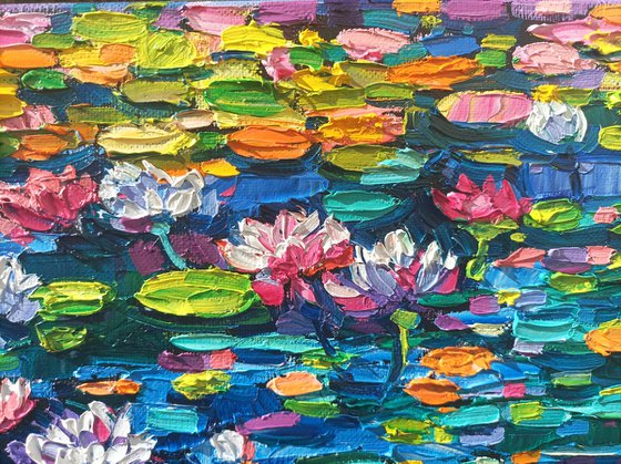 Water lilies reflections