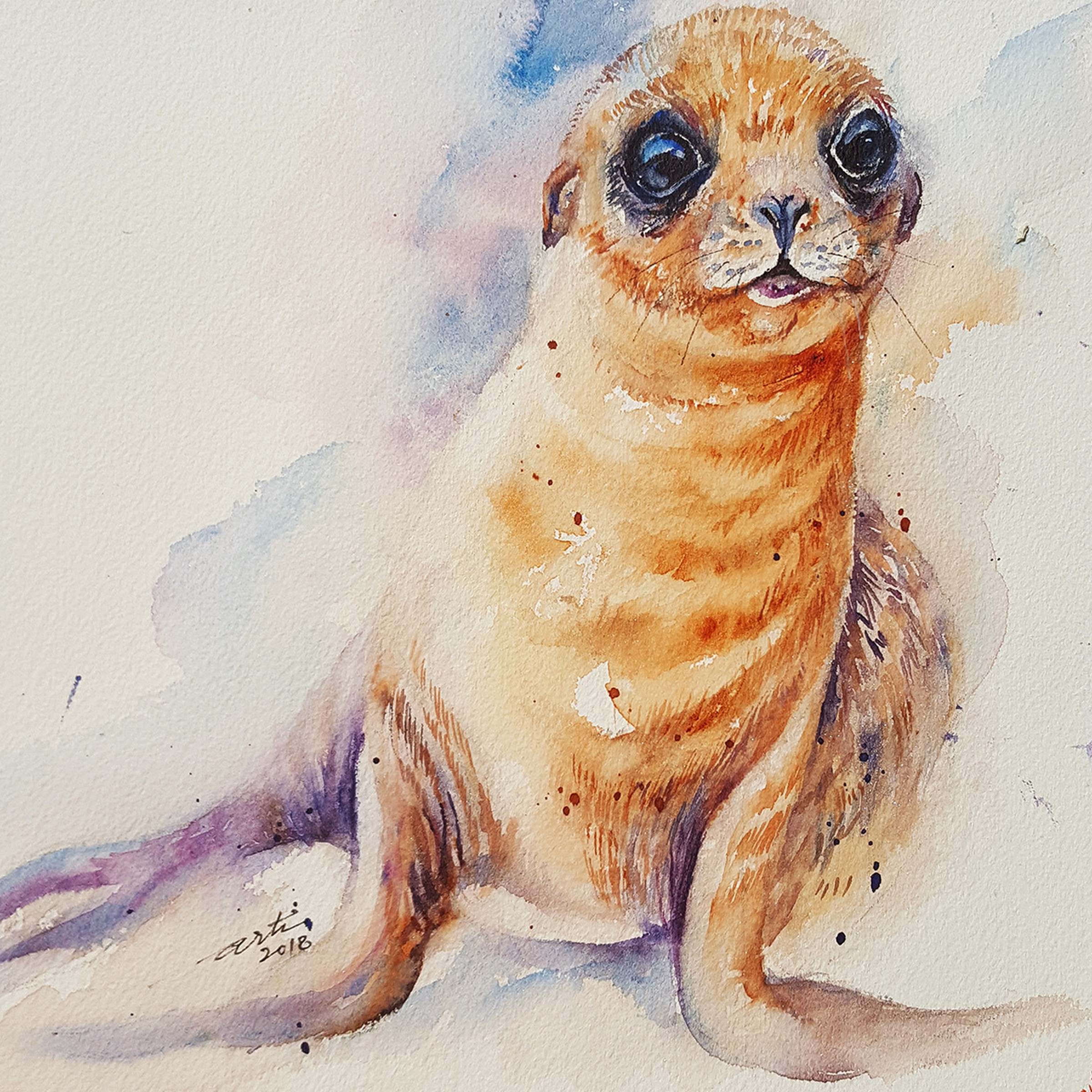 Selby The Sea Lion Cub By Arti Chauhan Artfinder