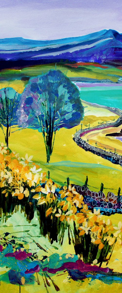 Grasmere Daffodils by Julia  Rigby