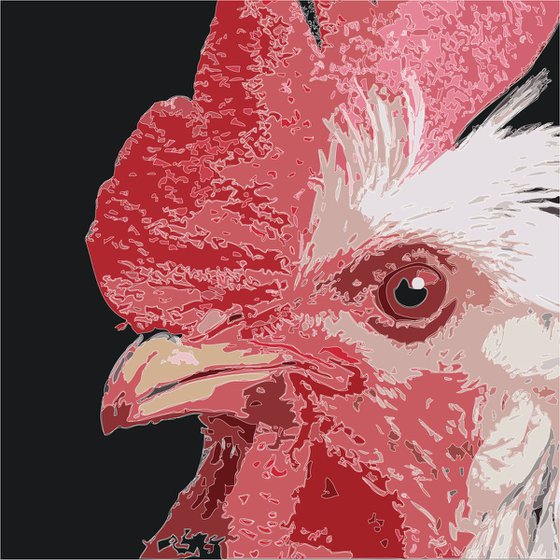 Portrait of a Chicken