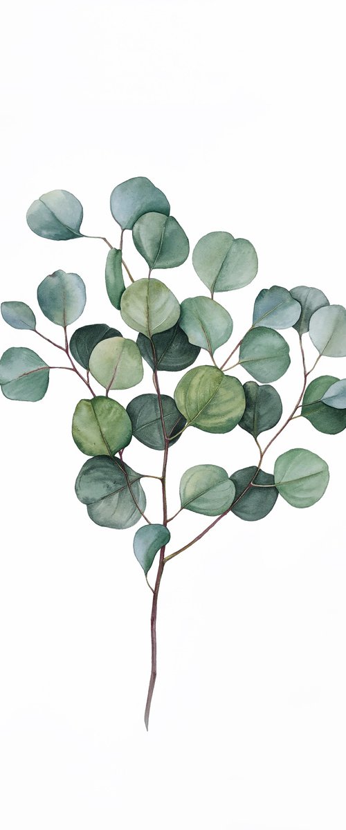 Eucalyptus dance. Original watercolour artwork. by Nataliia Kupchyk