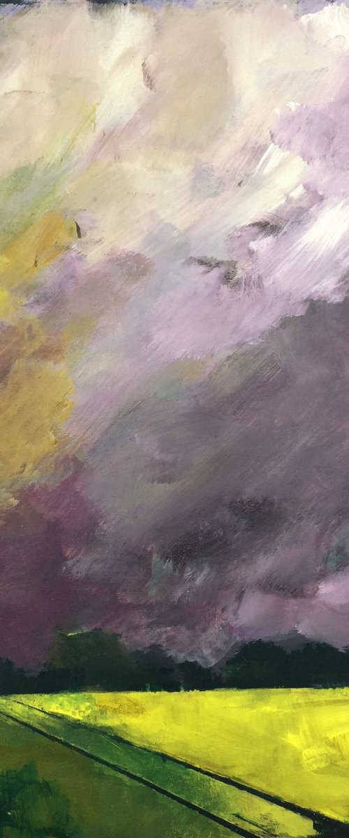 Storm by Paul West