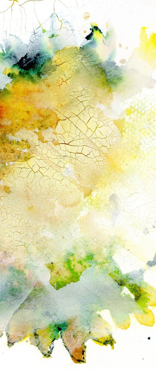 Sunflower & After Paste by Alex Tolstoy