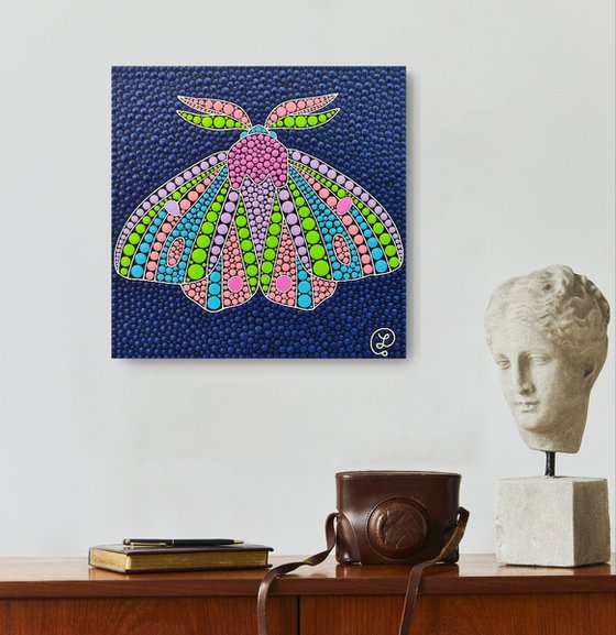 Midnight Moth
