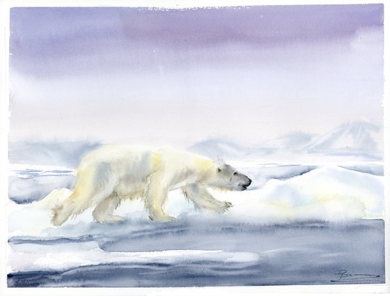 Polar Bear's Journey