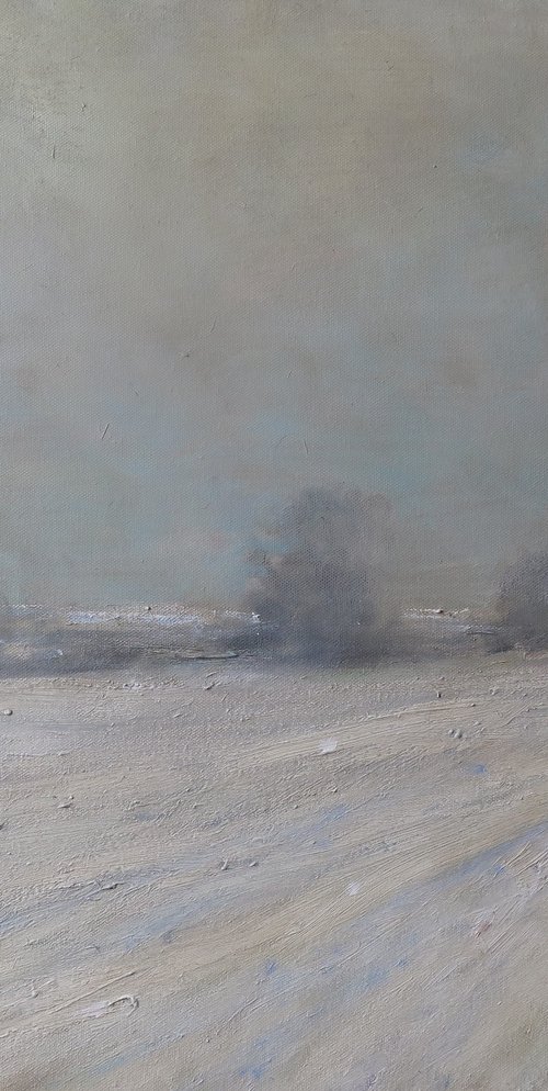 First Snow by Malcolm Ludvigsen