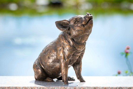 Sitting Piglet FB