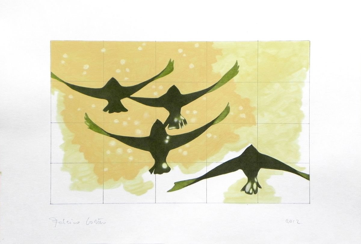 Swifts by Federico Cortese