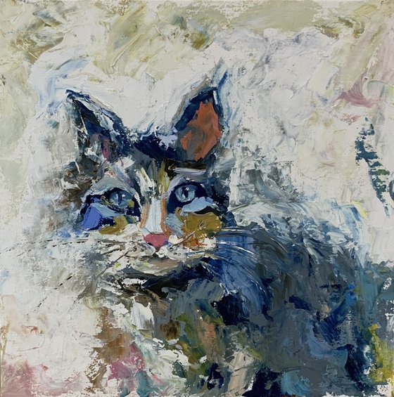 Blue black Cat portrait.