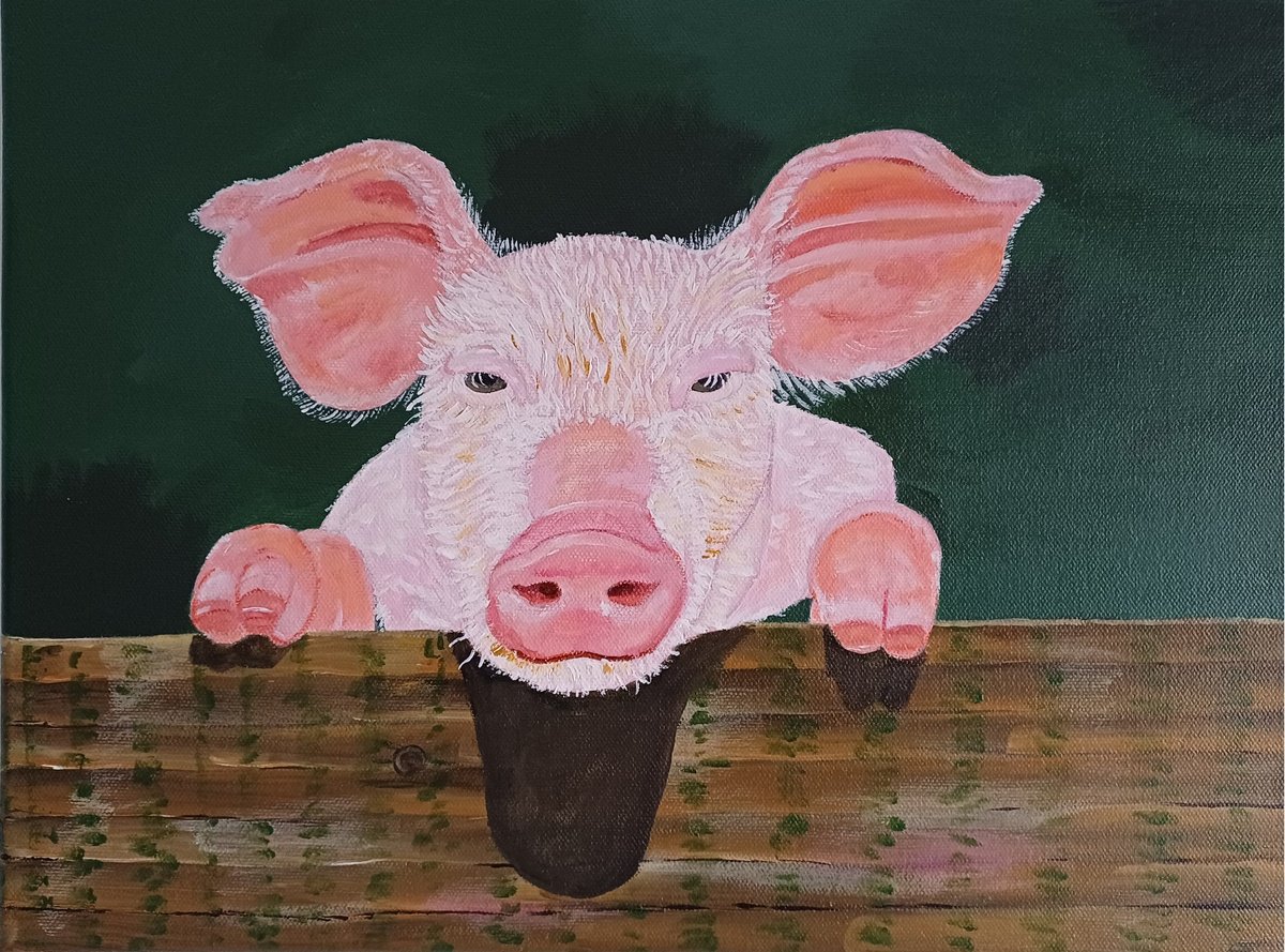 Cute Pig by Corinne Hamer