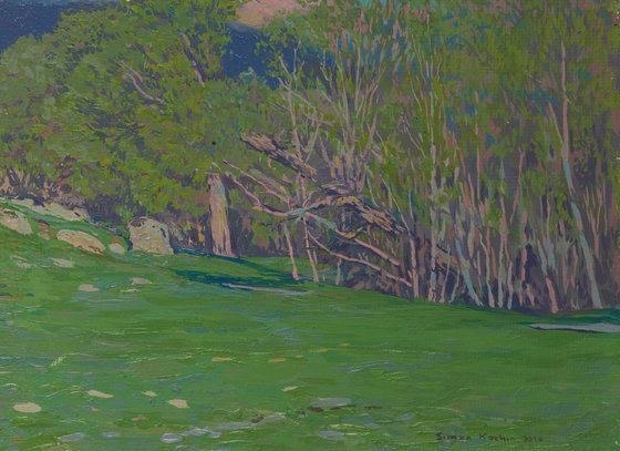 May. Spring in Teberda