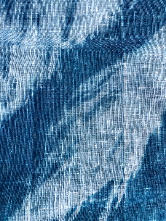 Palms on linen- cyanotype print