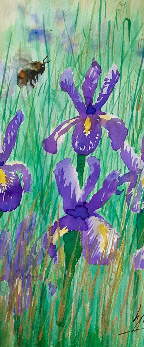 Bee visiting Irises by Lisa Mann