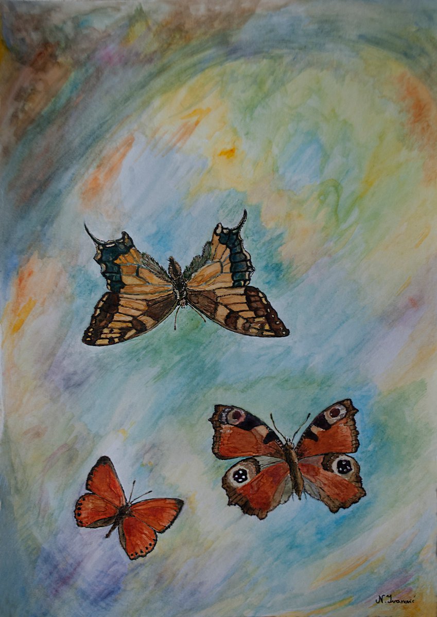 Butterfly trio V by Nikola Ivanovic