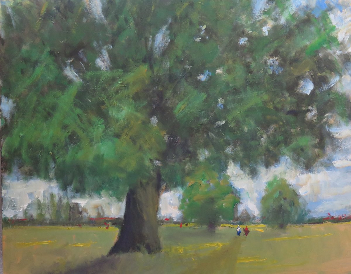 Trees on Walmgate Stray, York by Malcolm Ludvigsen