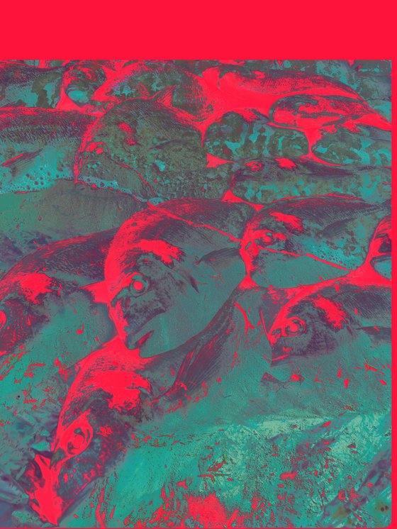 PhotoCollage Red Fish Sea Sand