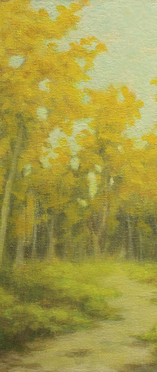Golden Lane by John Fleck