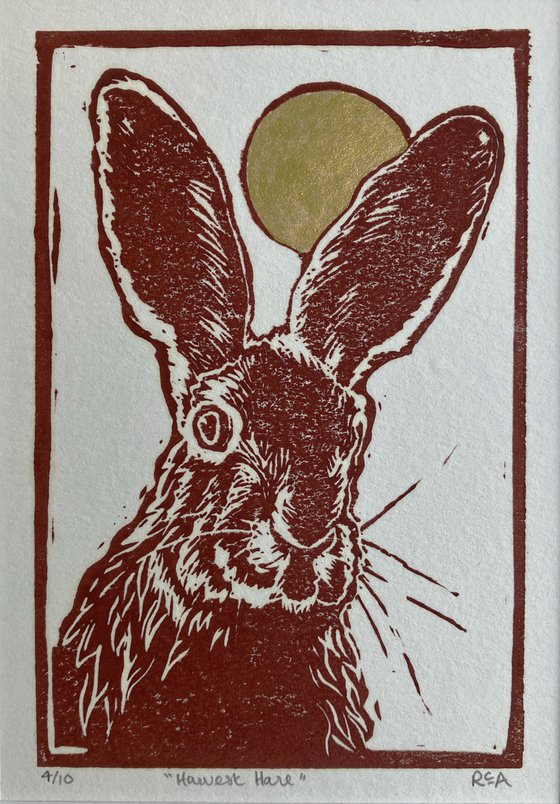 Harvest Hare