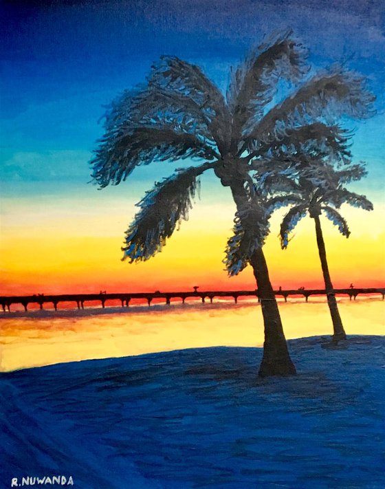 Palm Trees South Florida