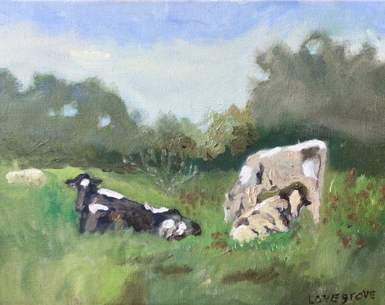 Cows at rest, Norfolk