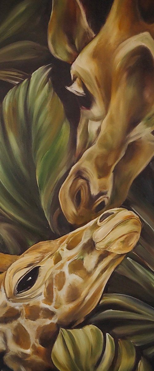 Giraffes by Olga Van Dine