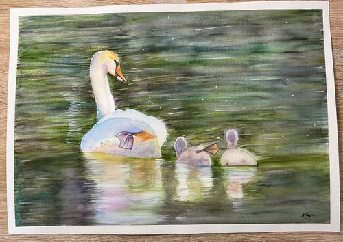 The big stretch! Swans watercolour painting by Bethany Taylor