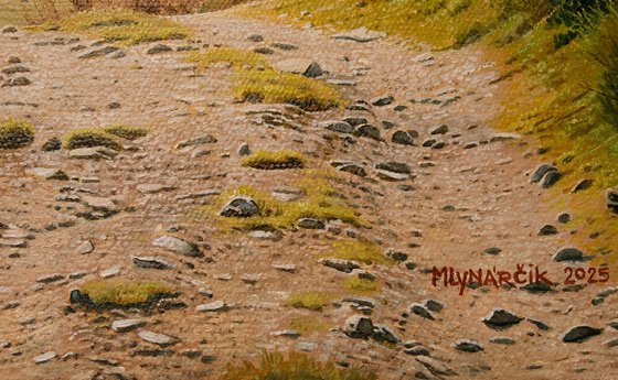 Path to the mountains