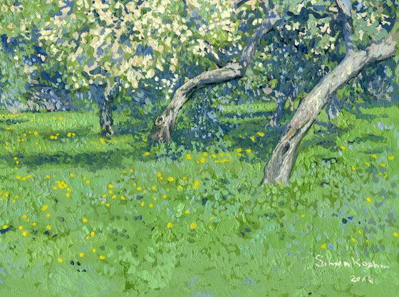 Apple trees in bloom. Kolomenskoye