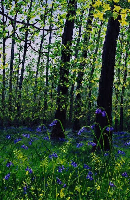 BlueBells by Hazel Thomson