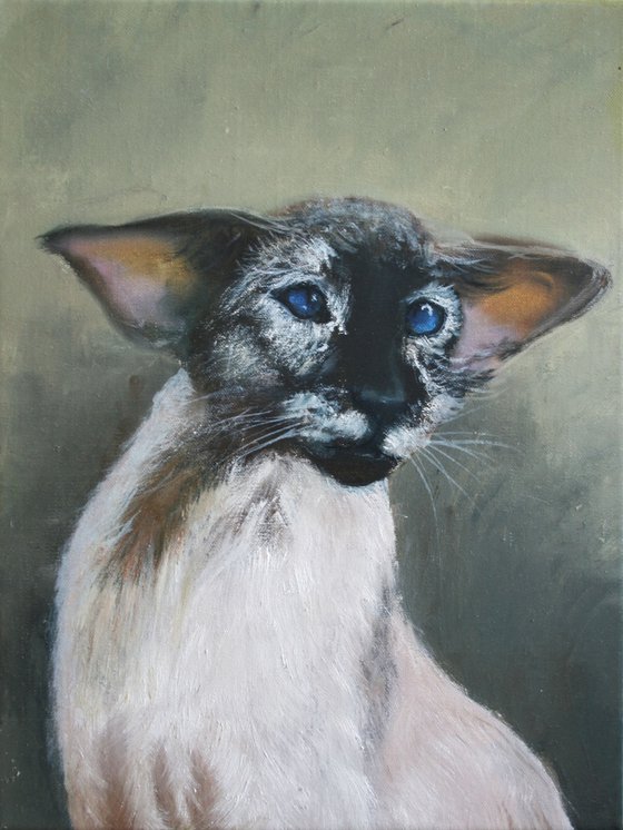 Oriental cat I - Pet portrait /  ORIGINAL PAINTING