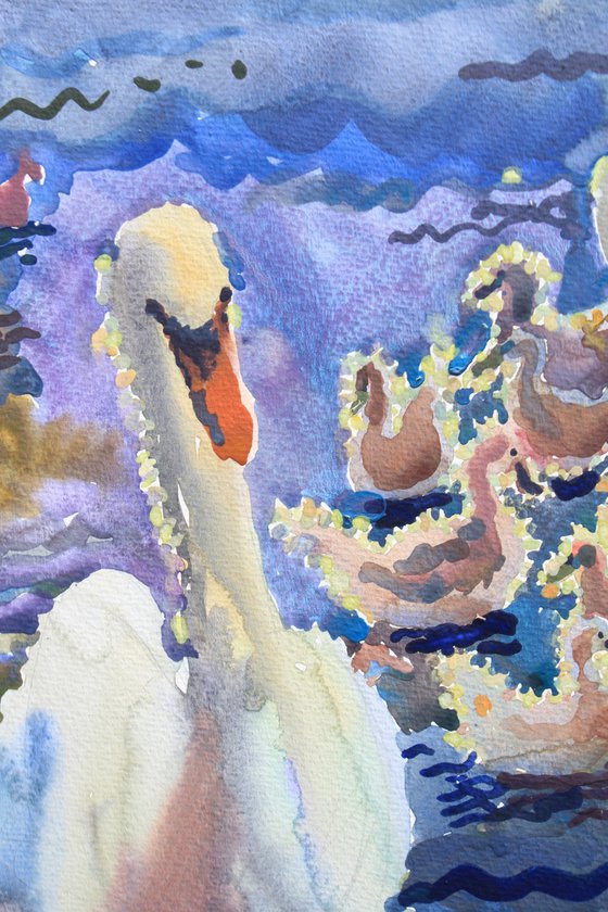 Swan family