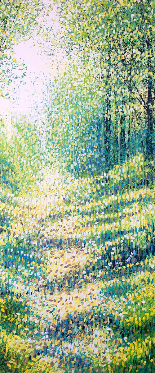 Summer Forest Path by Marc Todd