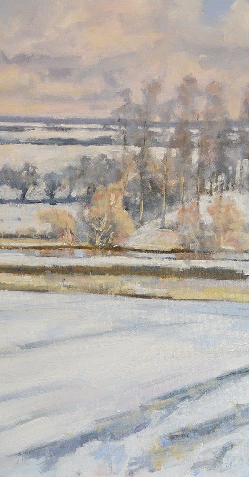 Norfolk winter landscape. by Tom Cringle