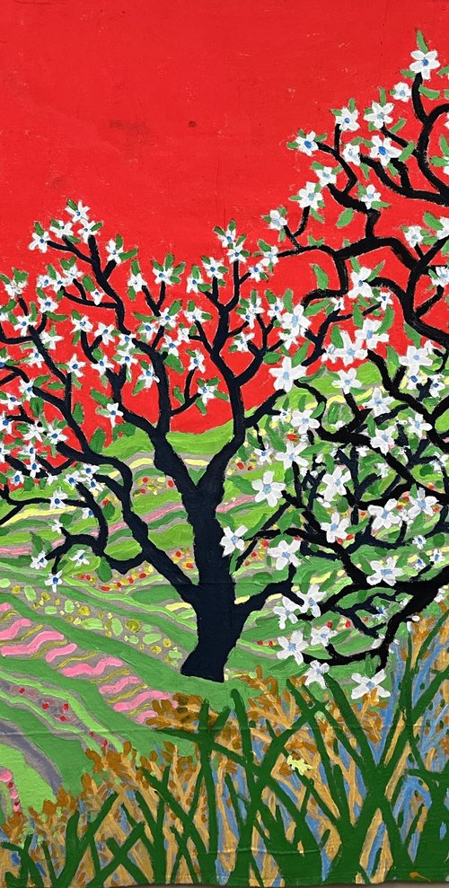 Apple Blossom Genes by Katie Jurkiewicz