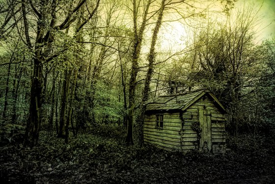 Woodland Shed