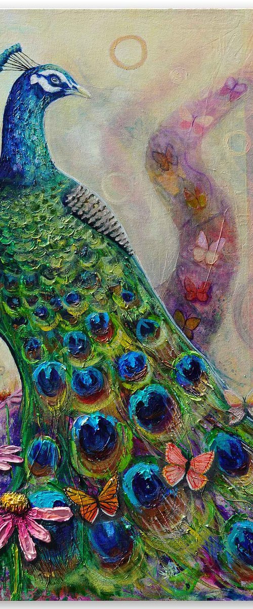 Peacock’s Secret Garden by Amanda Dagg