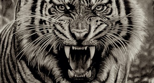 Artwork by Paul Stowe