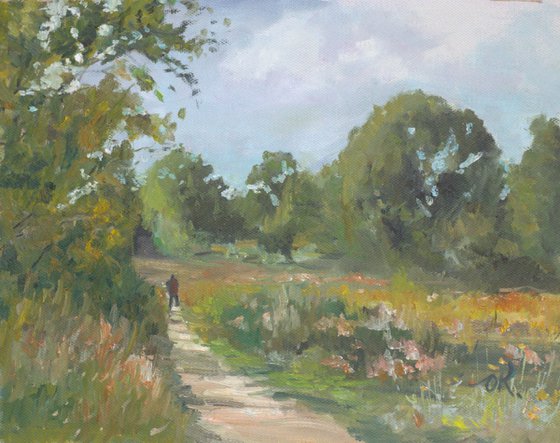 Eucalyptus near Tel Aviv