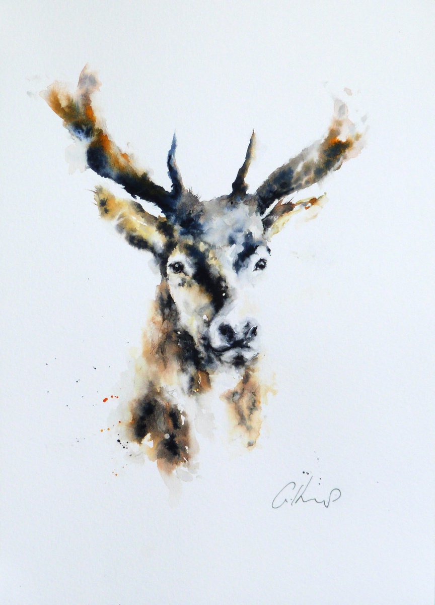 Stag. by Graham Kemp
