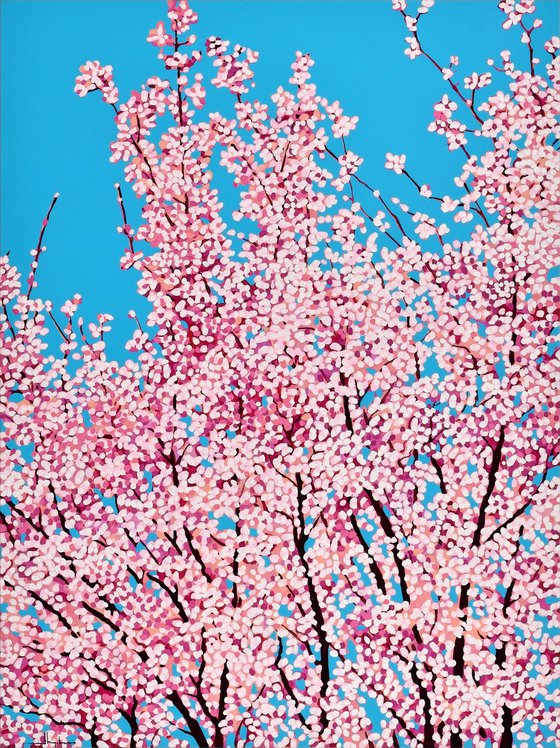 Cherry Blossom #9