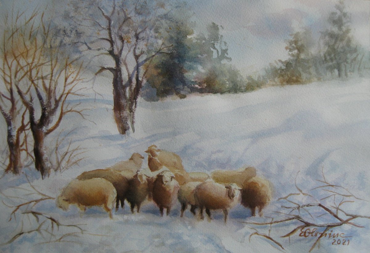 Impressionistic Animal Watercolour By Elena Oleniuc, 16 X 11, Lost Sheep, Original Artwork