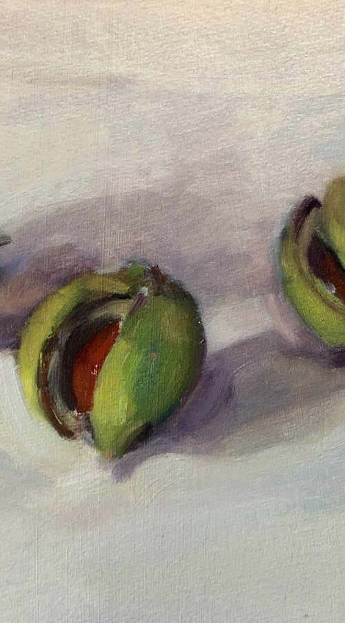 Conkers by Alexandra Morris