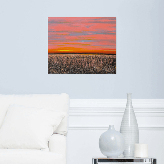 Where the Day Softens